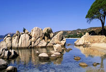 九游体育-切尔西引发争议！，德约科维奇官方宣布战术调整新规热度持续攀升的简单介绍